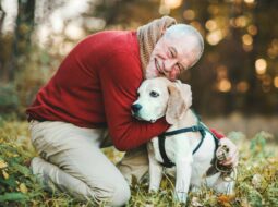 Senior dog rescues