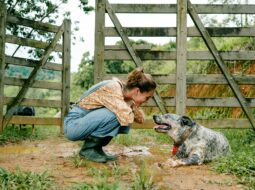 Preventing Animal Abuse
