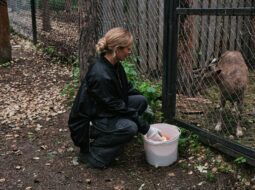 Brenda McGrane- Animal Welfare