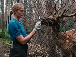 Animal Welfare:Brenda McGrane